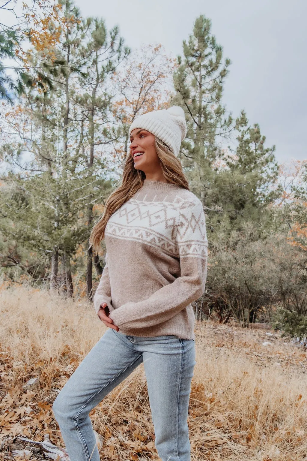 Taupe Aztec Print Mock Neck Sweater