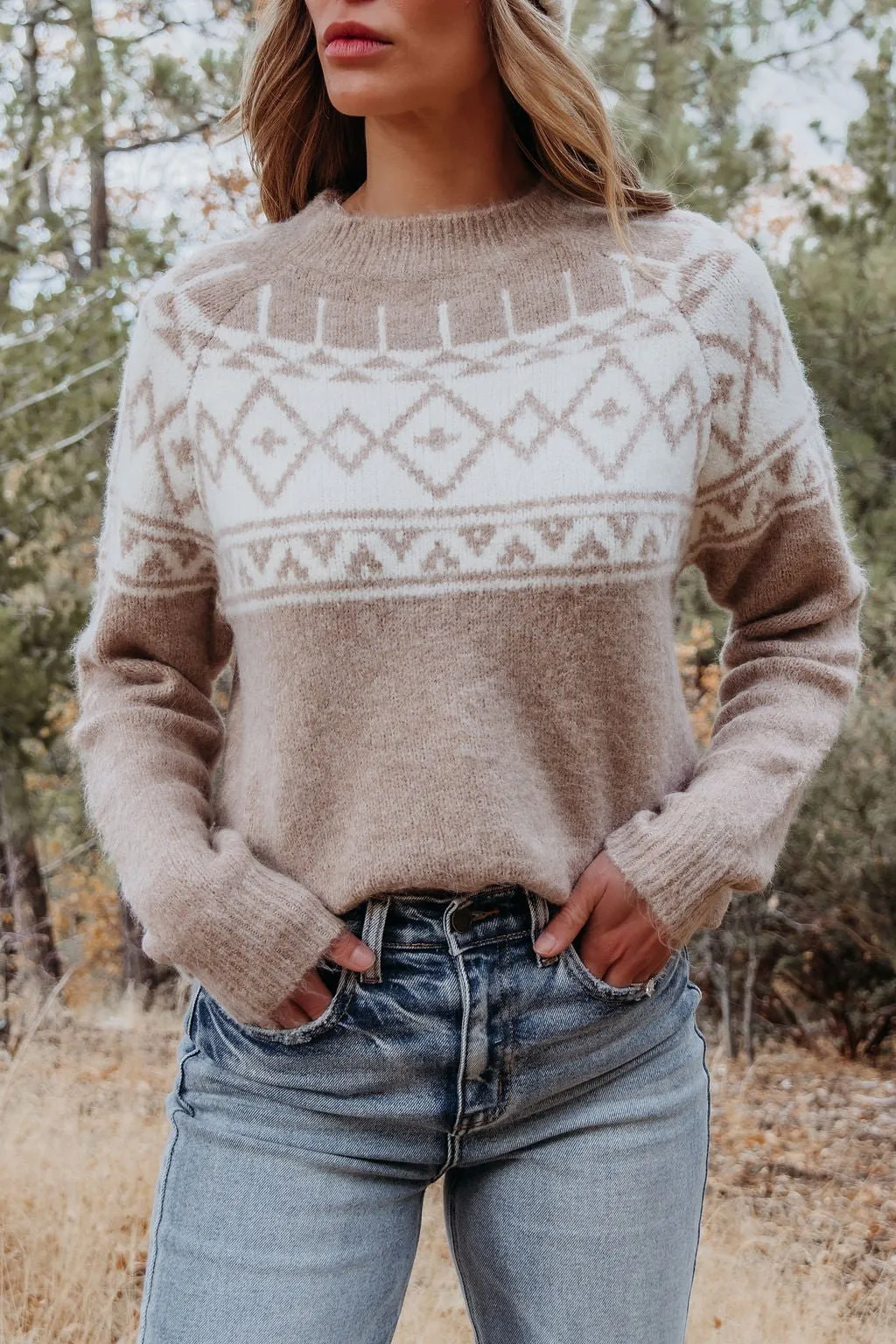 Taupe Aztec Print Mock Neck Sweater